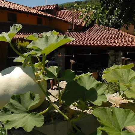 Xenonas Case de vacanță *