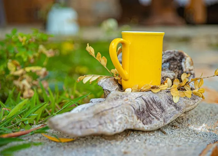 Xenonas Сasa de vacaciones Larissa