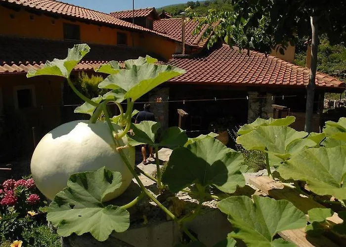 Xenonas Сasa de vacaciones *